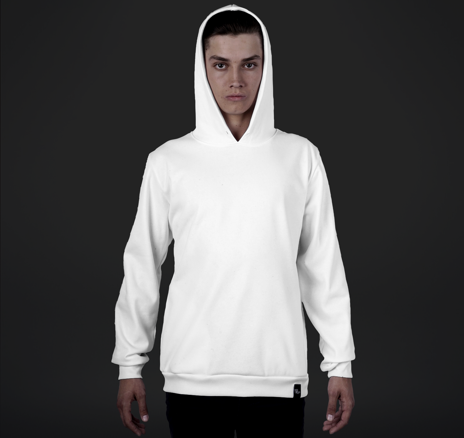 Mens, Pullover Hoodie Striped Overlay